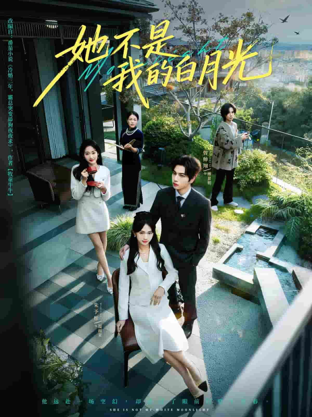 她不是我的白月光