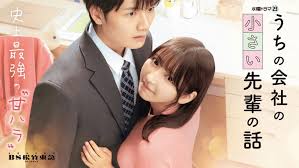 公司里的小小前辈2025