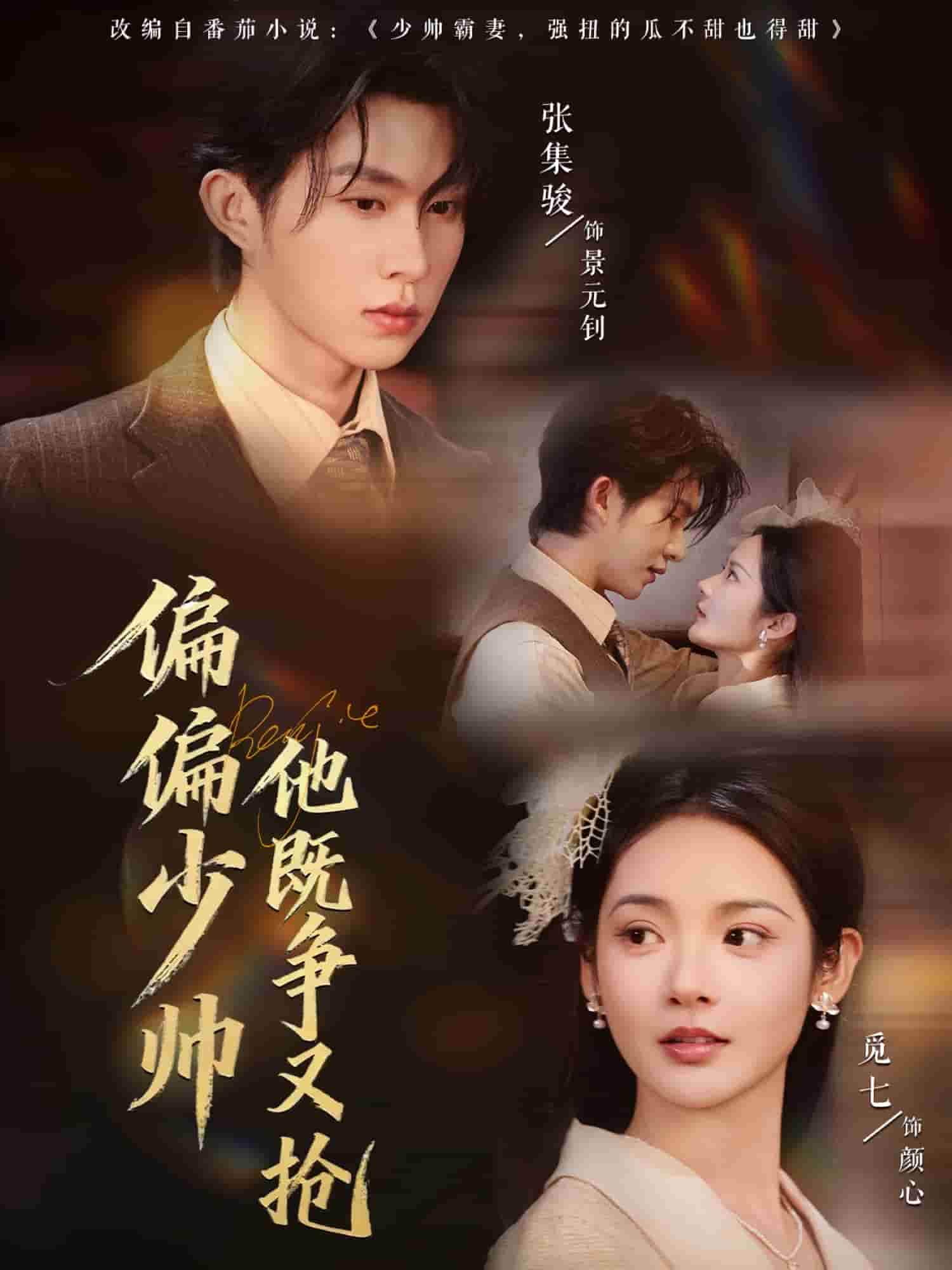 偏偏少帅他既争又抢