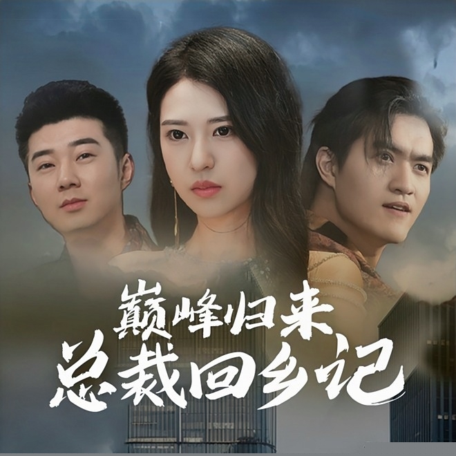 巅峰归来总裁回乡记